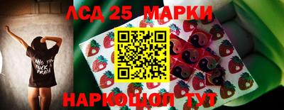 стаф Абакан