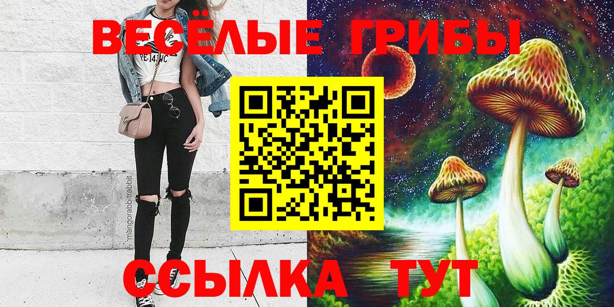 Псилоцибиновые грибы мухоморы Ангарск
